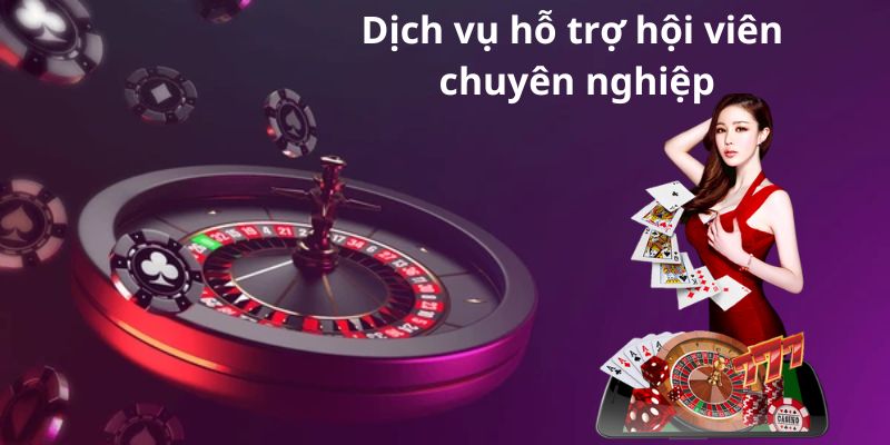 Dịch vụ hỗ trợ hội viên chuyên nghiệp